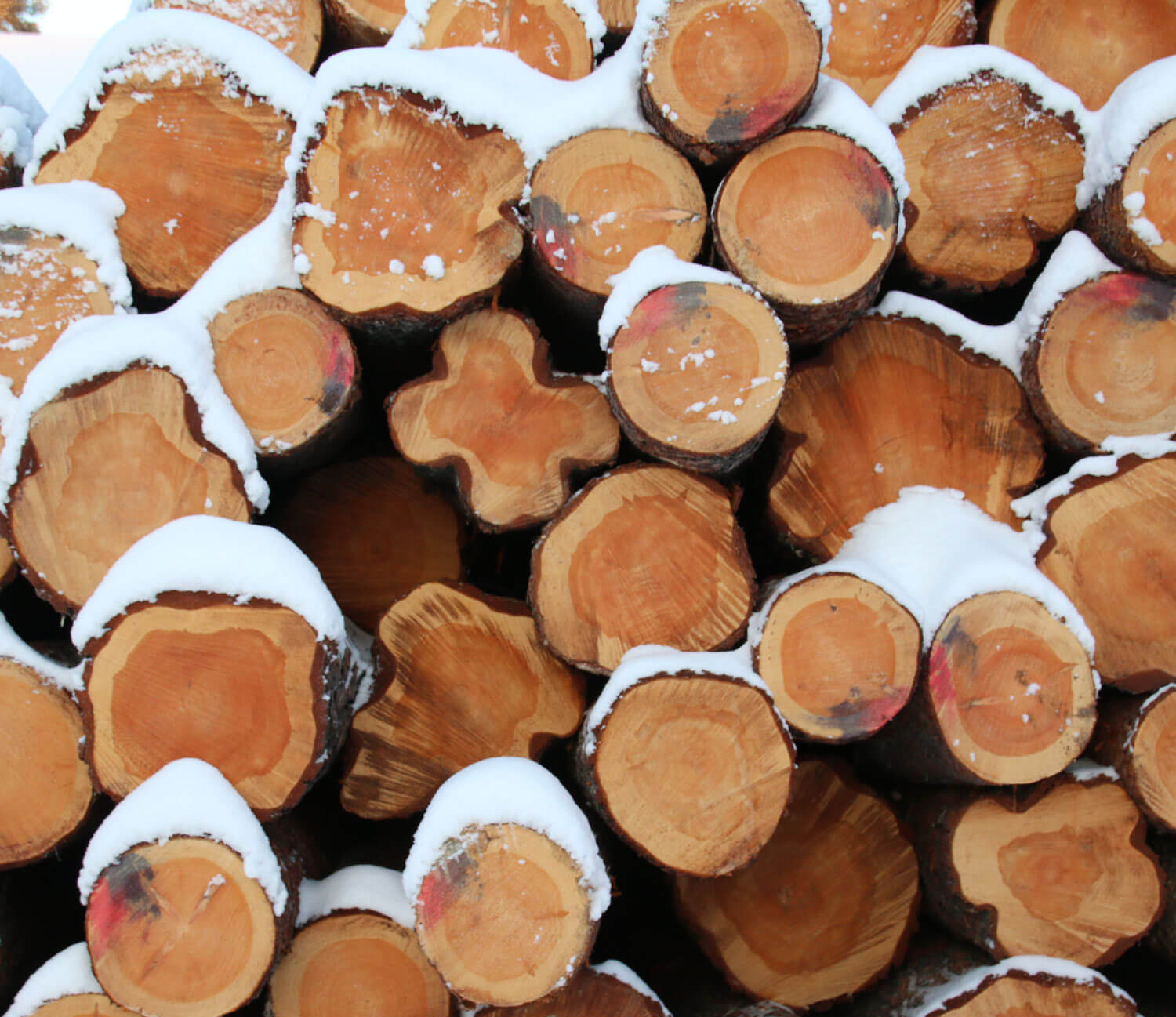 Sutelan saha, prosessin osa 2