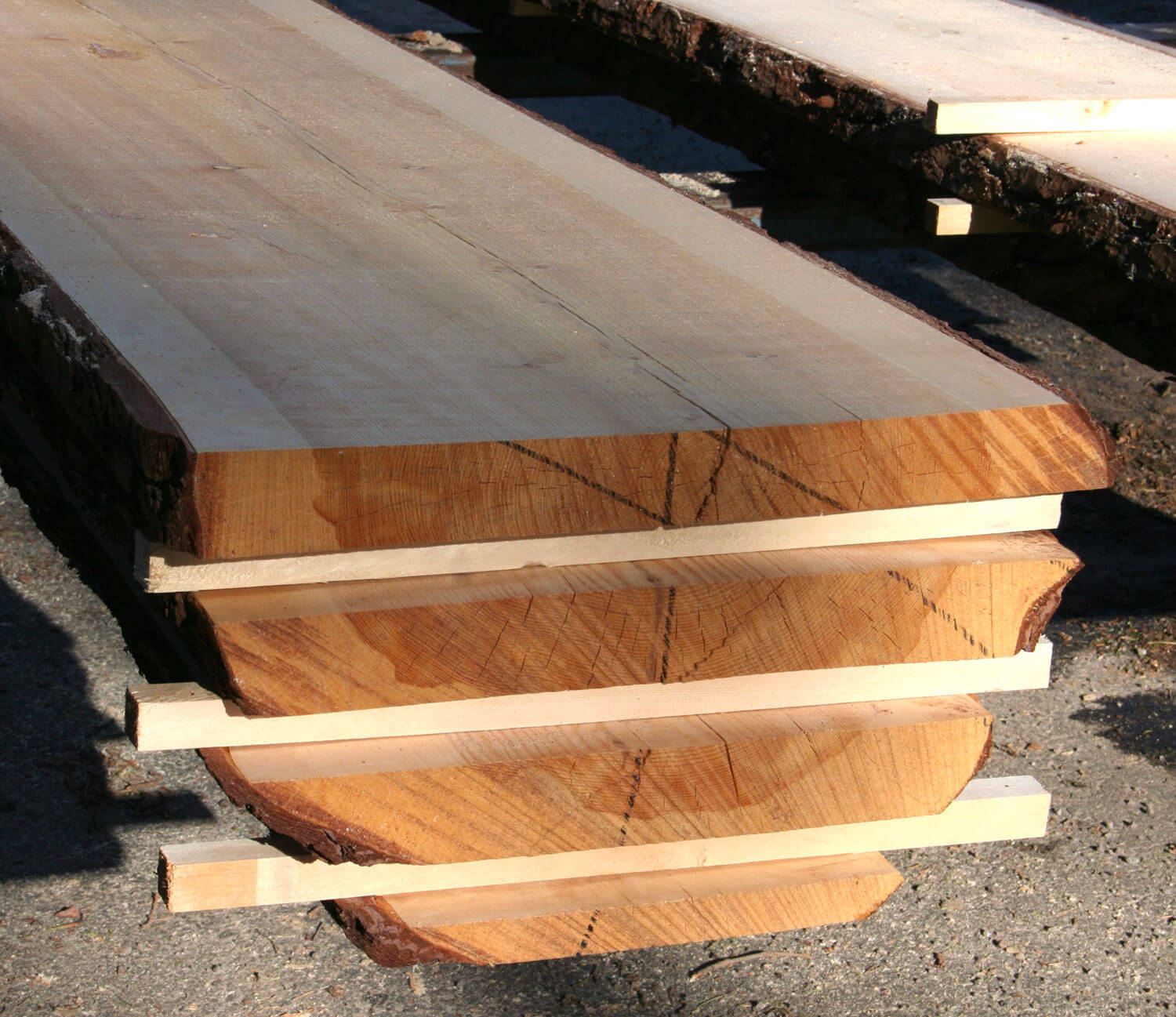 Sutelan saha, puun leikkaus